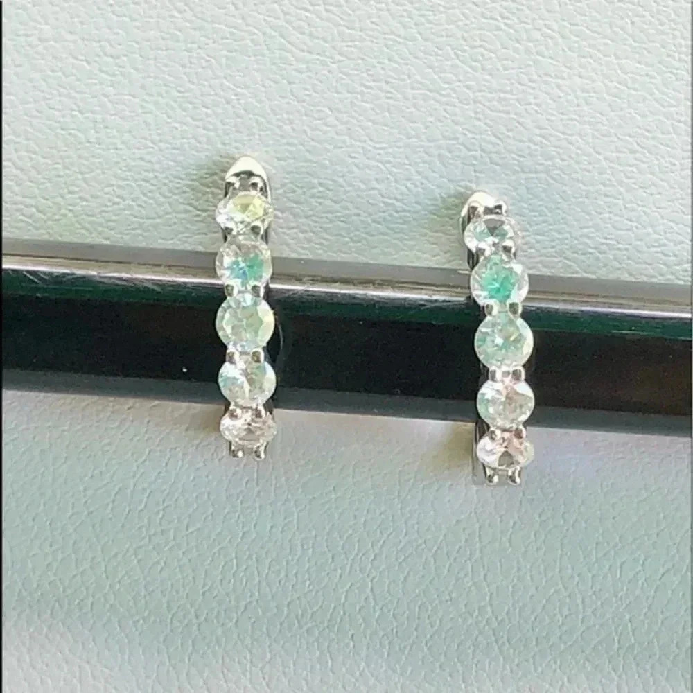 Elegant Silver Crystal Hoop Huggie Earrings NWT